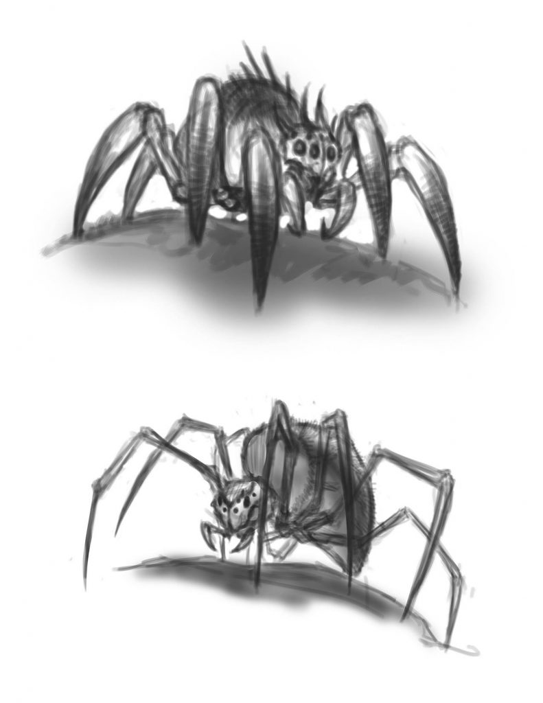 spider_sketch01
