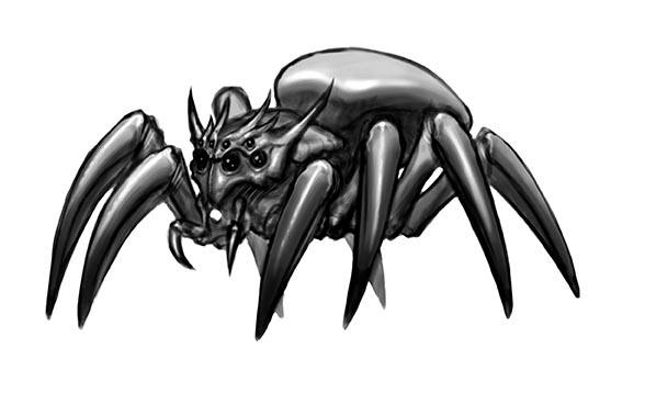 spider_sketch02